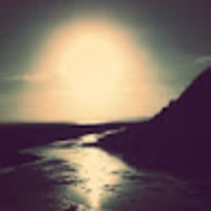 Meet your Posher, Anne